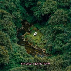 Sommerbrise 🌬️ type freestyle