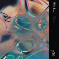 Swen Baez - Can You Feel It (Original Mix)