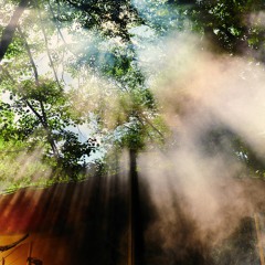 Zvèn - Live at Butik Festival 2025