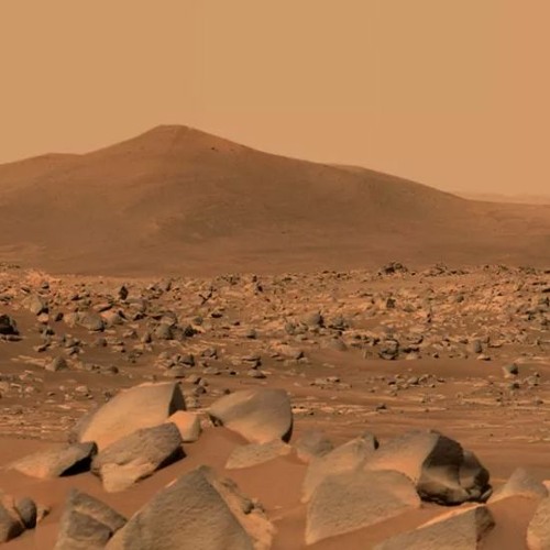 Sex On The Mars