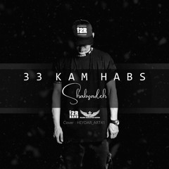 33 Kam Habs