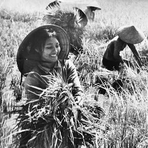hạt gạo làng ta - minh trang & tốp ca vàng anh (thu thanh trước 1975)