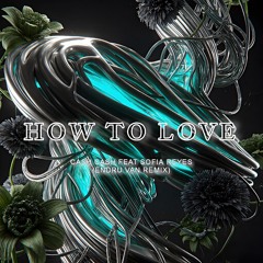 Cash - Cash Feat. Sofia Reyes - How To Love (Endru Van Remix).wav