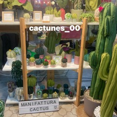 cactunes_00