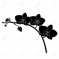 Black Orchid - for solo piano