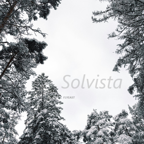 Solvista