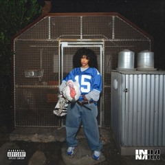 WHAT DO I DO? (NEVER LOVE AGAIN)