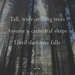 FlownBlue’s Forest Cathedral (NaviarHaiku536)