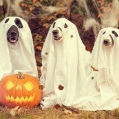 #6 Pumpkin Heads And Halloween Parties