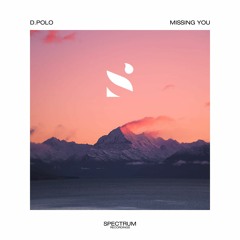 D.Polo - Missing You