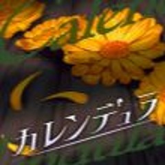 Calendula(カレンデュラ)- RONDO