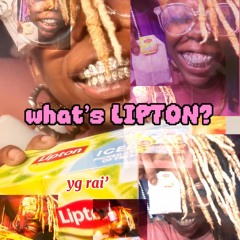 what’s LIPTON?