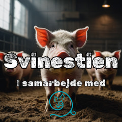 Svinestien 2025 - Marts: Vision 2050