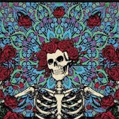 amuse toi bien 🏴‍☠️🏴‍☠️🤘🏼