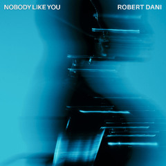 Nobody Like You