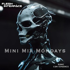 Flesh Interface • Mini Mix Mondays Ep. 4 • Sonic Convergence Records