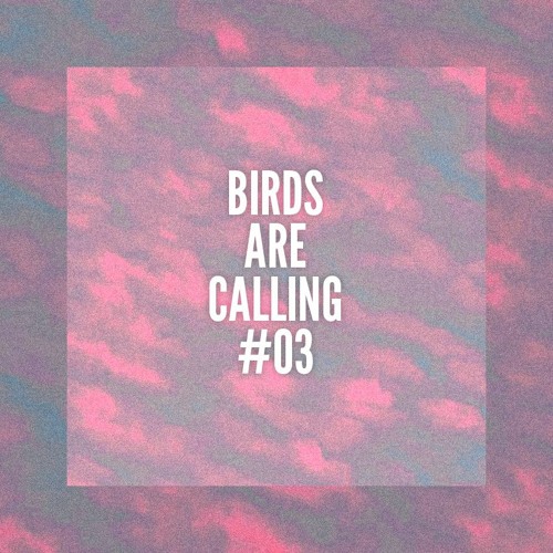 Maz @ Birds Are Calling #03