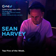Golden Wings Radio Show - Sean Harvey - Top Five Of The Week 05192023