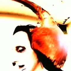 MANSON CLIPS W WWENTIWW, DADDYSGUAPO, REDDA, NEVAPRAY, JAKUBO, 1QTEK, SEN5E, NORTHDX, AAGUST & MORE