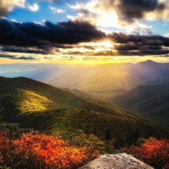 DreamScapes