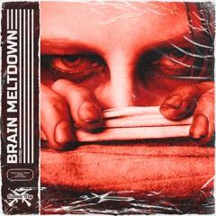 DSVRG - BRAIN MELTDOWN
