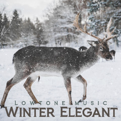 Winter Elegant - Beautiful Piano Winter Mood - Free Download