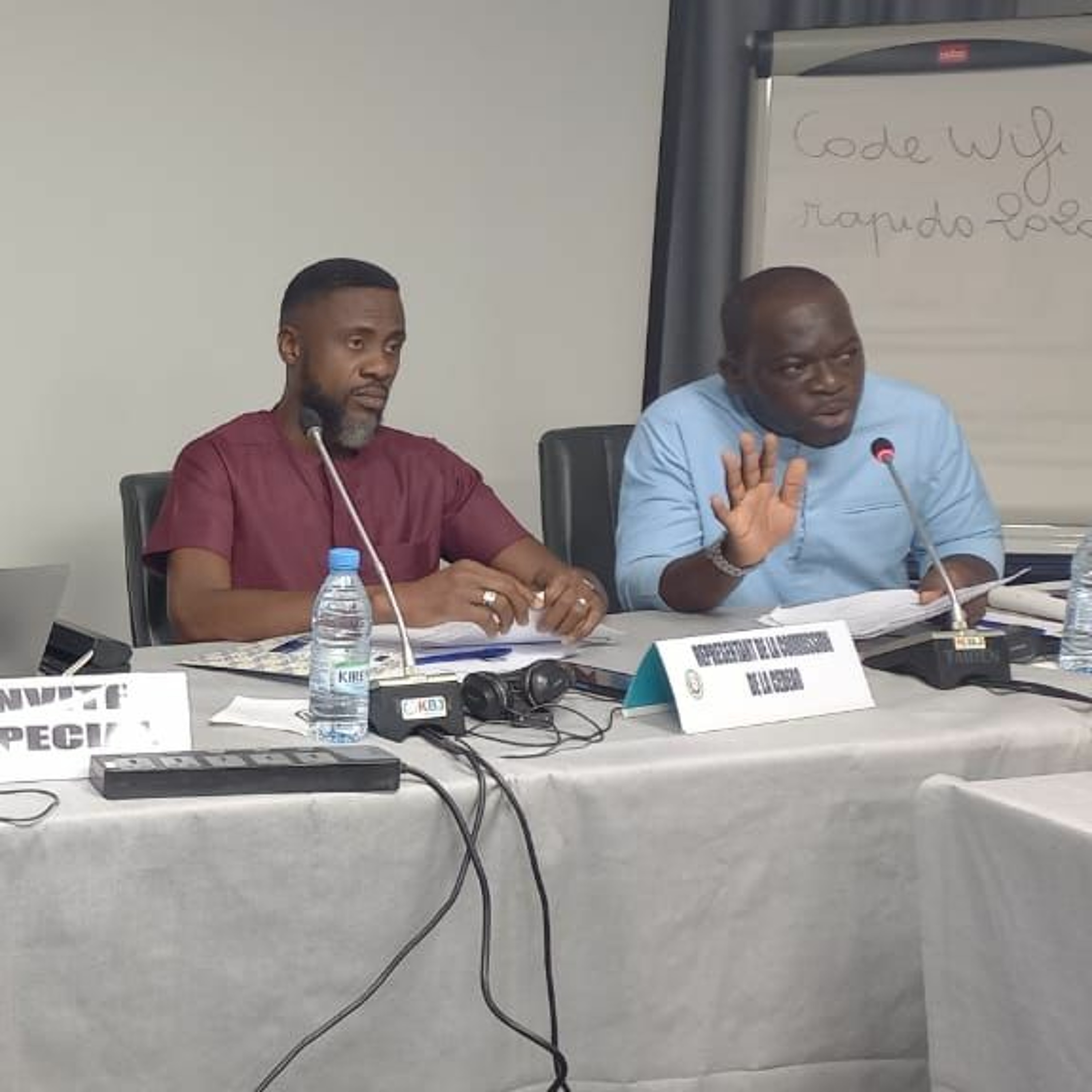 ECOWAS drives media credibility for Senegal's presidential poll episode artwork