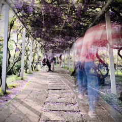 Healing Kiirtan - the view