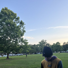 Psilocybin- Penthouse