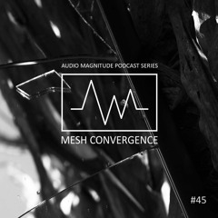 Audio Magnitude Podcast Series #45 Mesh Convergence