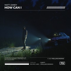 Matt Zaney - How Can I