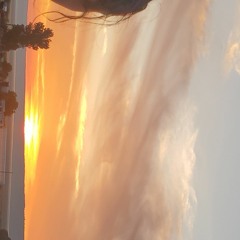 StarBass (elk lake) mini mix