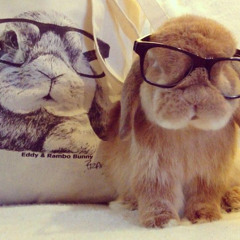 bun