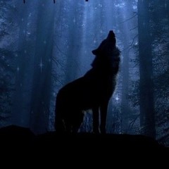 wit the wolves (p.tylo)