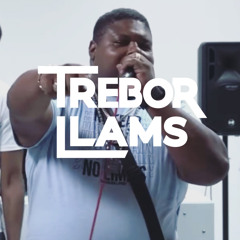 BIG NARSTIE - TEKKERZ HQ FREESTYLE (TREBOR LLAMS VERSION)