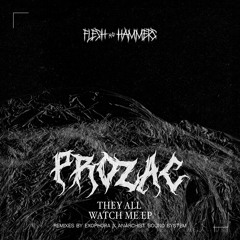 Prozac - They All Watch Me (Exophora Remix)
