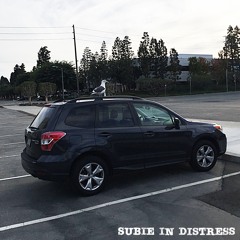 Subie in Distress