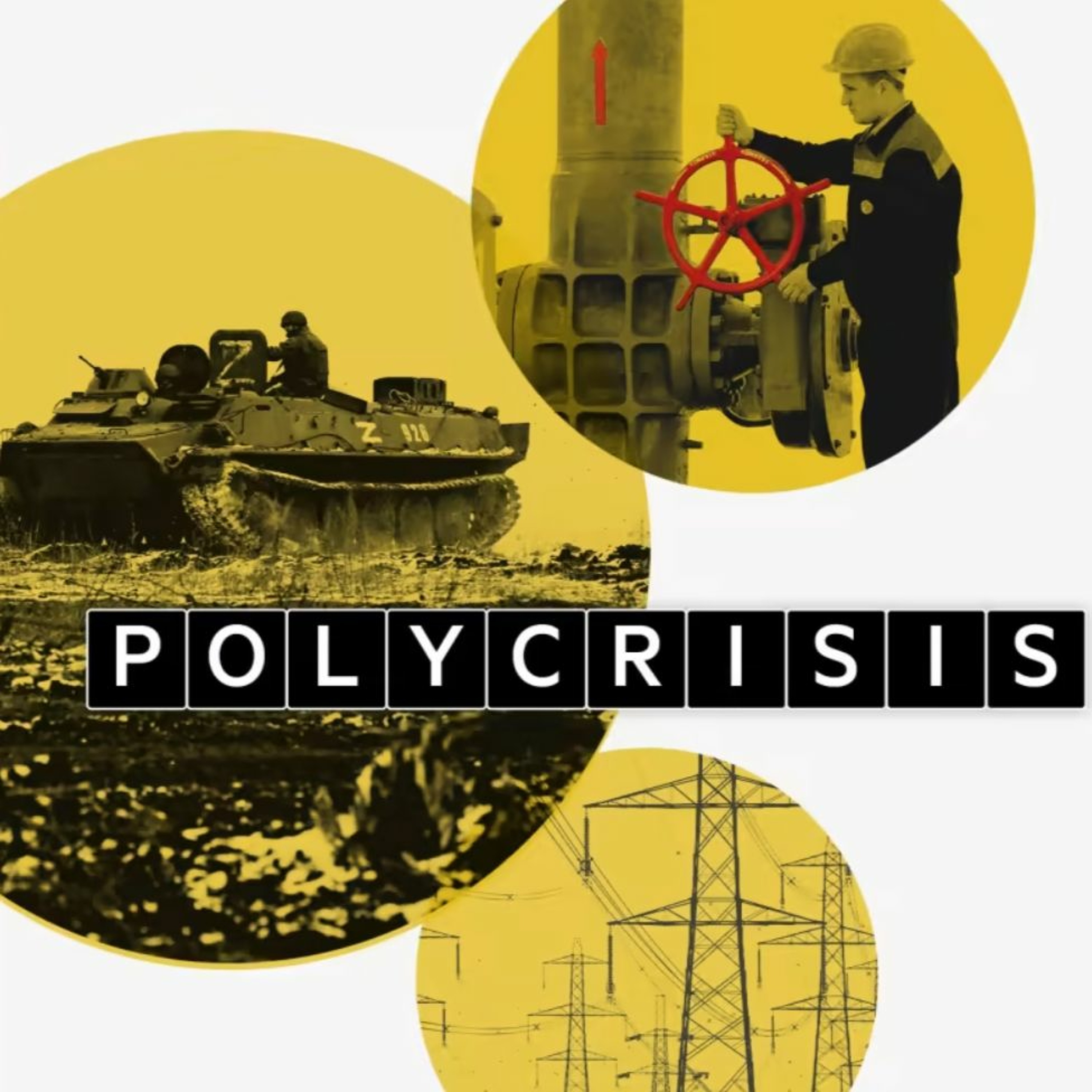 DVS NME - Polycrisis
