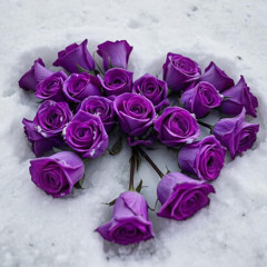 Violet Roses (#ILoveFavors)