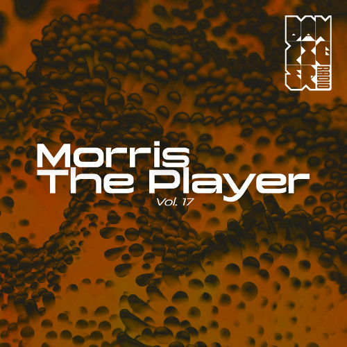Radio Danziger Vol. 17 by Morris The Player