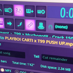 PLAYBOI CARTI x T99 - PUSH UP