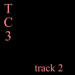track 2