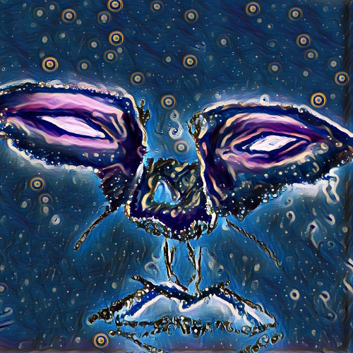 Hello Andromeda