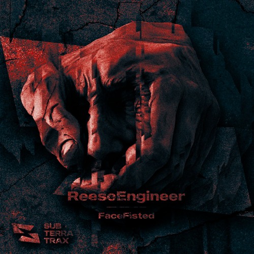 ReeseEngineer - FaceFisted [FREE DL]