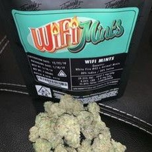 Mikey - Hoods Hottest