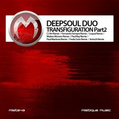 DeepSoul Duo - Transfiguration (Fernando Ferreyra Remix)