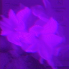installation disk (ultra slowed)