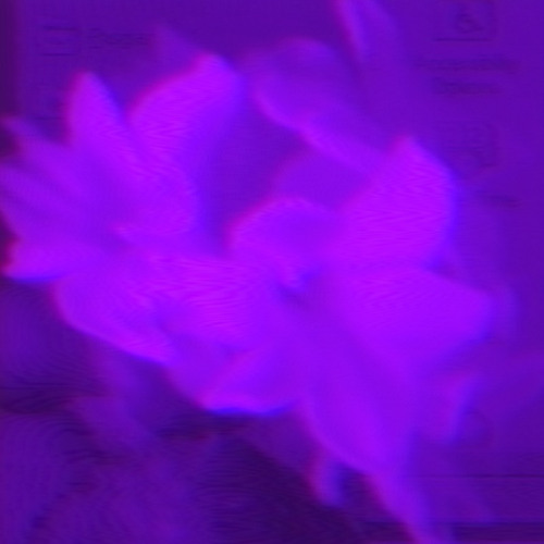 installation disk (ultra slowed)