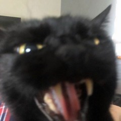 Want Me Back ft. Saysbri (@1jorko)