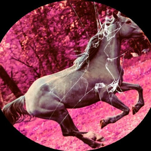 gallop